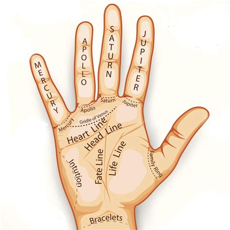 Palm Reading Guide Online Psychics