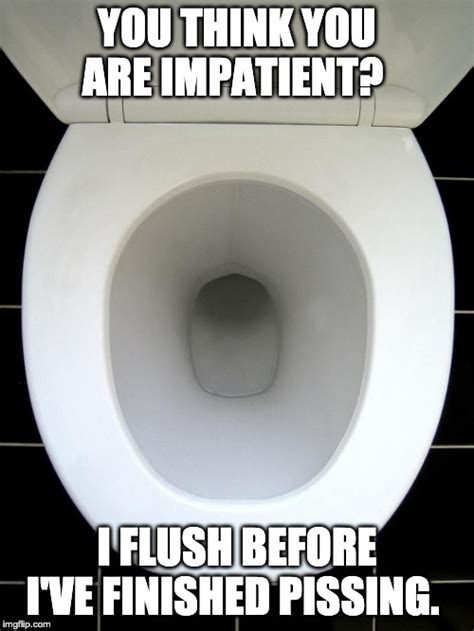 Toilet Imgflip