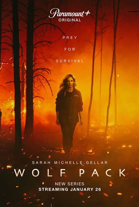 Wolf Pack Season 1 Rotten Tomatoes