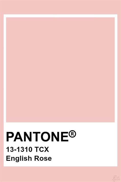 Rose Pantone Color Old Gold Pink Dusty Nauthizbtowner