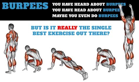 Burpees What Muscles Do Burpees Work And Burpees Exercises And