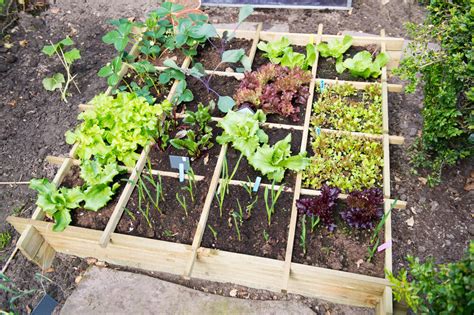 How To Make A Vegetable Garden In A Small Space