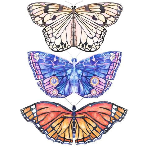 Free Butterfly Art 3 Unique Butterfly Printables The Handmade Home
