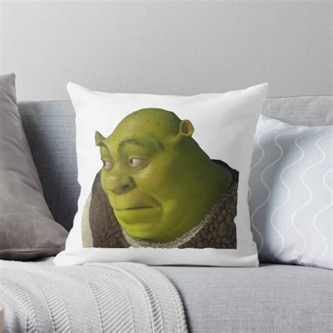 Shrek Waifu Pillow These Custom Pillows Were Developed By Neurosurgeons