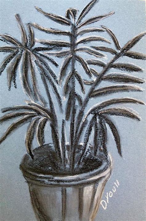 Charcoal Palm On Sea Blue Paper Drawing By Debbie Youll Fine Art America