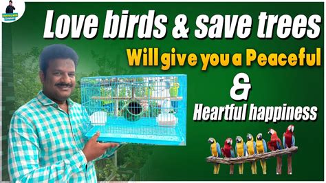Love Birds In Teluguhomely Birdstelugu Vlogsjourney With Srinivas