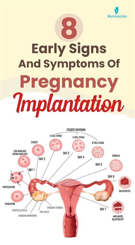 8 Early Signs And Symptoms Of Pregnancy Implantation