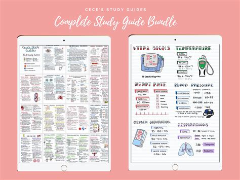 Digital Complete Study Guide Bundle For Nursing Students Nursing Notes