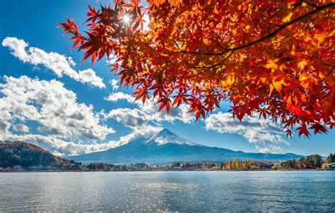 Wallpaper Autumn Leaves Lake Japan Japan Mount Fuji Landscape