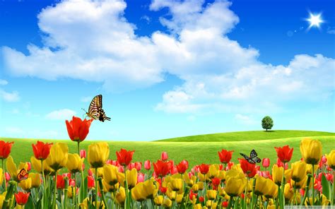 Spring Background Colorful Flowers 1440x900 13279