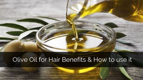 Olive Oil For Hair Benefits And How To Use It
