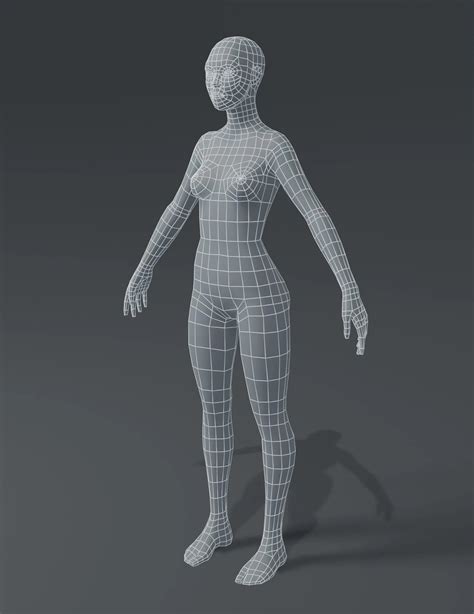 Female Body Base Mesh 3d Model Flippednormals