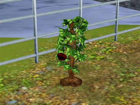 Mod The Sims Missing Auto Soils Plasma Fruit Carrot And More Fruit
