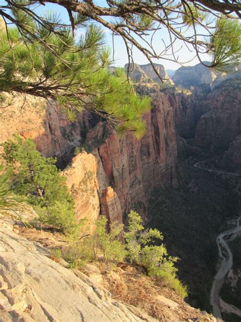 Zion National Park Utah 6 Hikes From The Valley Floor And The East
