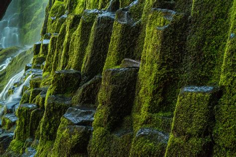 Expose Nature Moss Covered Basalt Columns At The Base Of Proxy Falls