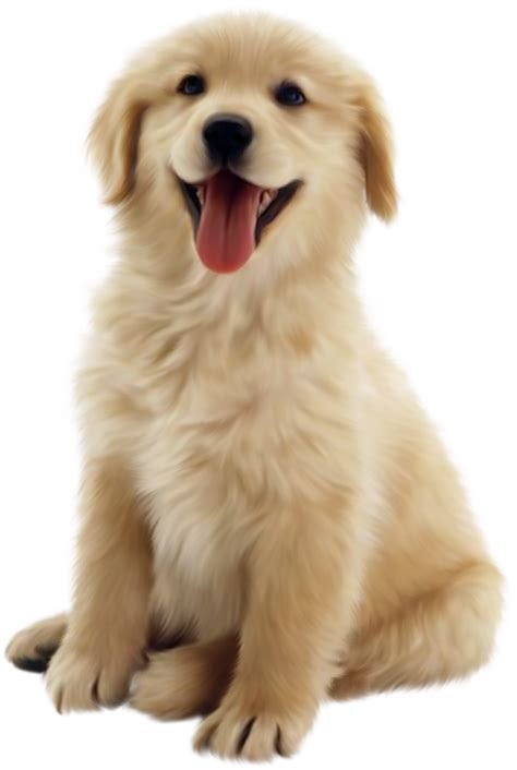 Download High Quality Dog Clipart Realistic Transparent Png Images