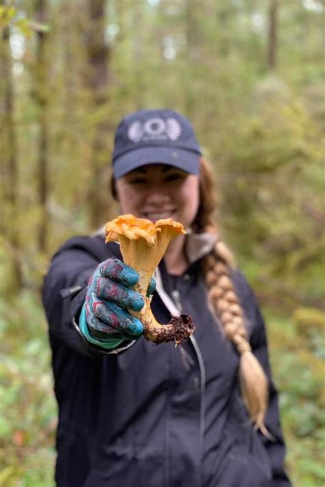 Beginners Guide To Chanterelle Mushroom Foraging In Washington Fun