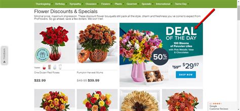 Never miss out with 13 live right now for proflowers. 15% Off ProFlowers Coupon Code | ProFlowers 2018 Codes ...