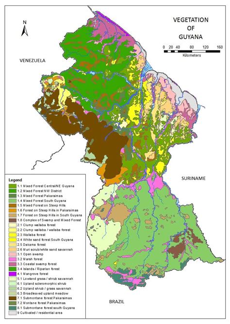 Vegetation Map Of Guyana After Ter Steege A Download Scientific Diagram