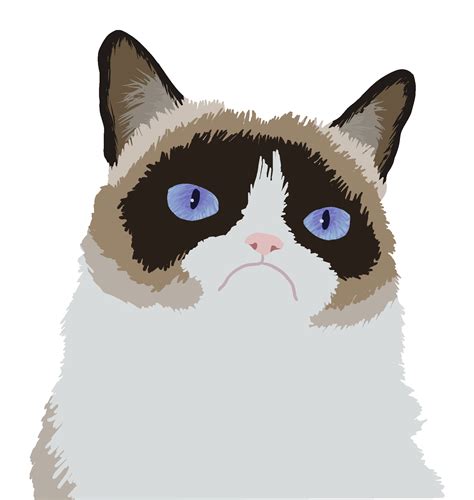 Grumpy Cat Cartoon Wallpapers Top Free Grumpy Cat Cartoon Backgrounds