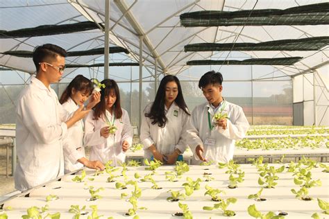 56 duy tân, dịch vọng hậu, cầu giấy, hà nội. Ngành mới tuyển sinh 2020: Nông nghiệp công nghệ cao là gì ...