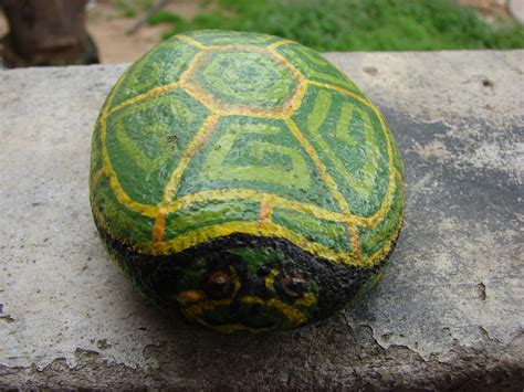 Some turtles also have a yellow pattern that makes it brighter but some only has a brown color. 1000+ images about Rocks > Turtle on Pinterest | Pet rocks ...