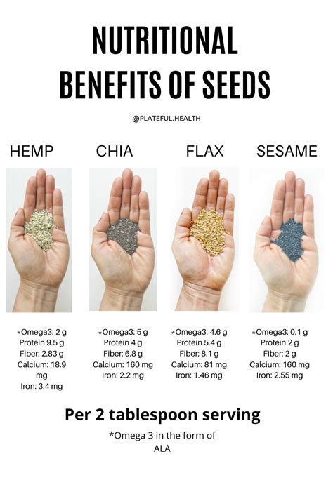 Nutritional Benefits Of Seeds Seeds To Eat Nutrition Tips Healthy