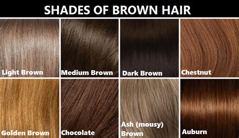 Shades Of Brown Hair Brown Hair Shades Brown Hair Color Chart Hair
