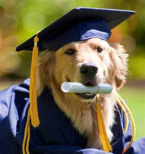 Review Of Graduation Photo With Dog References