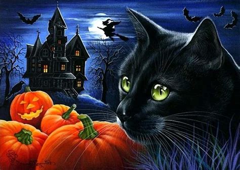 10 New Halloween Black Cats Wallpaper Full Hd 1920×1080