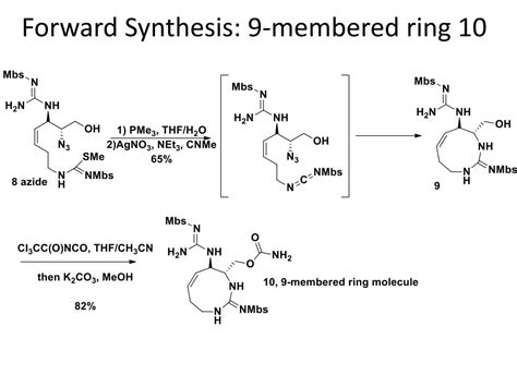 Ppt Total Synthesis Of Saxitoxin Powerpoint Presentation Free Download Id2357229