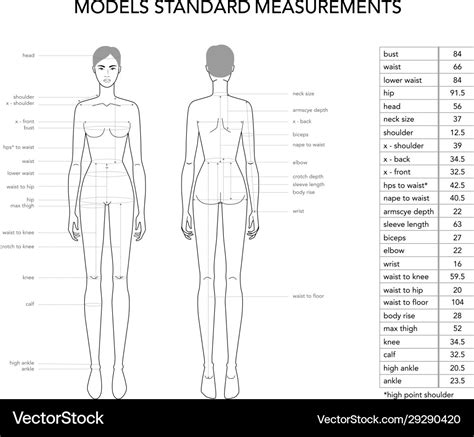 Womens Model Measurements Fashion Terminology Vector Image