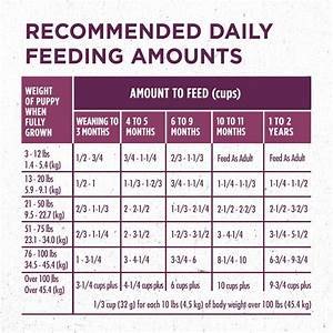 Purina Puppy Food Feeding Chart Puppy And Pets