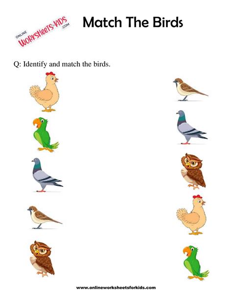 Free Printable Birds Worksheets