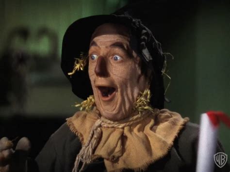 The Scarecrow Got A Brain The Wizard Of Oz Image Fanpop