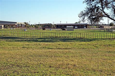 Photo Gallery 6 618 Acre Gch Horse And Cattle Ranch Sold Coalson