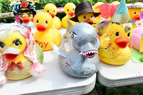 Hampton Bays Civic Association Hosts Rubber Duckie Race 27 East