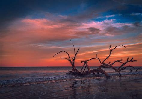 10 Must Dos On Jekyll Island Official Georgia Tourism And Travel