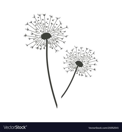 You may also like dandelion blowing or blowing dandelion clipart! Dandelions Royalty Free Vector Image - VectorStock