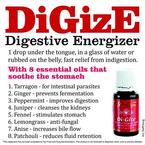 I normally order from young living directly, however they were out of this great oil and i needed it. Young Living DiGize Essential Oil: Digestion | Living ...