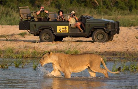 15 Day African Safari Self Drive To Kruger Park And Garden Route