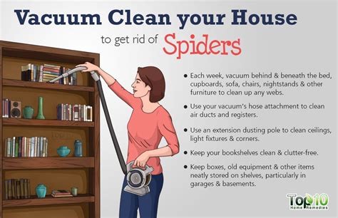 How To Safely Get Rid Of Spiders From Your House Top 10 Home Remedies
