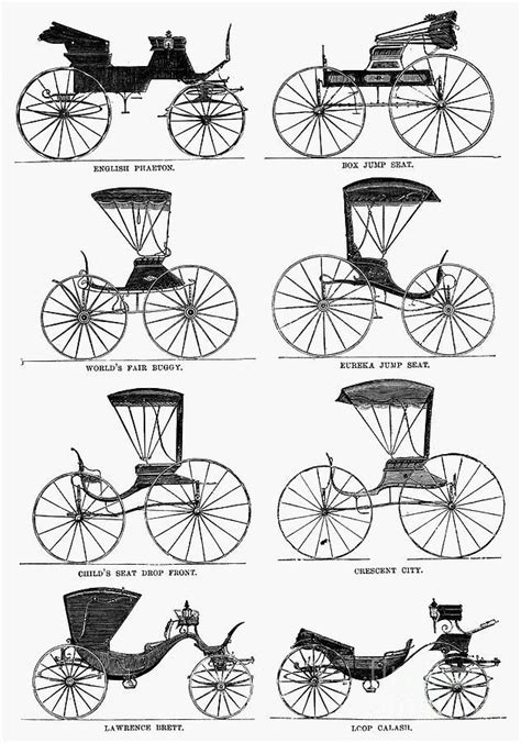 Carriage Types Around 1860 Horse Drawn Wagon Carriages Horse And Buggy