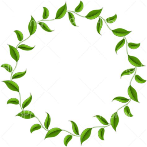 Download free leaf png images. Download leaves png hd Transparent Background Image for ...