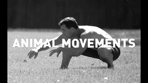 Using Animal Movements For Fitness Mobility Strength And Control
