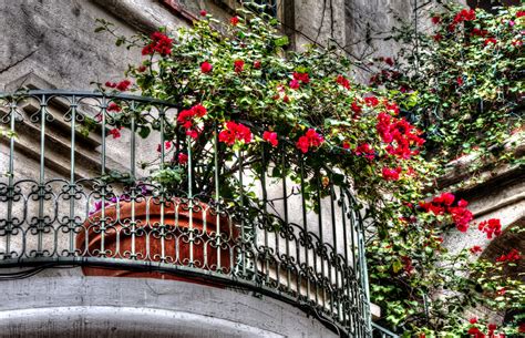 Flowered Balcony Free Stock Photo Public Domain Pictures