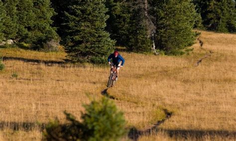 Mammoth Lakes Mountain Biking California Bike Rentals And Tours Alltrips