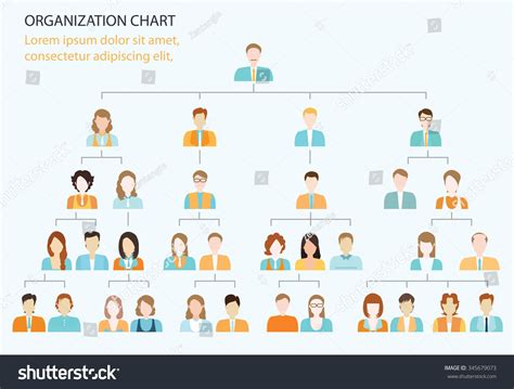 Organizational Chart Corporate Business Hierarchy People Stock Vector