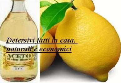 In pochi attimi otterrai un detersivo per i. Detersivi fatti in casa, naturali e economici - Dai rimedi ...