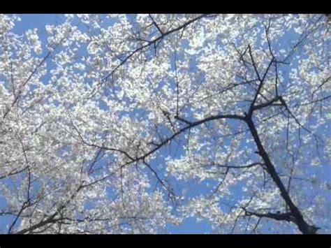 Musim luruh di korea 2020. Musim semi korea 2013 - YouTube